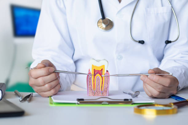 Best Emergency Dentist for Lost Fillings or Crowns in Belford, NJ
